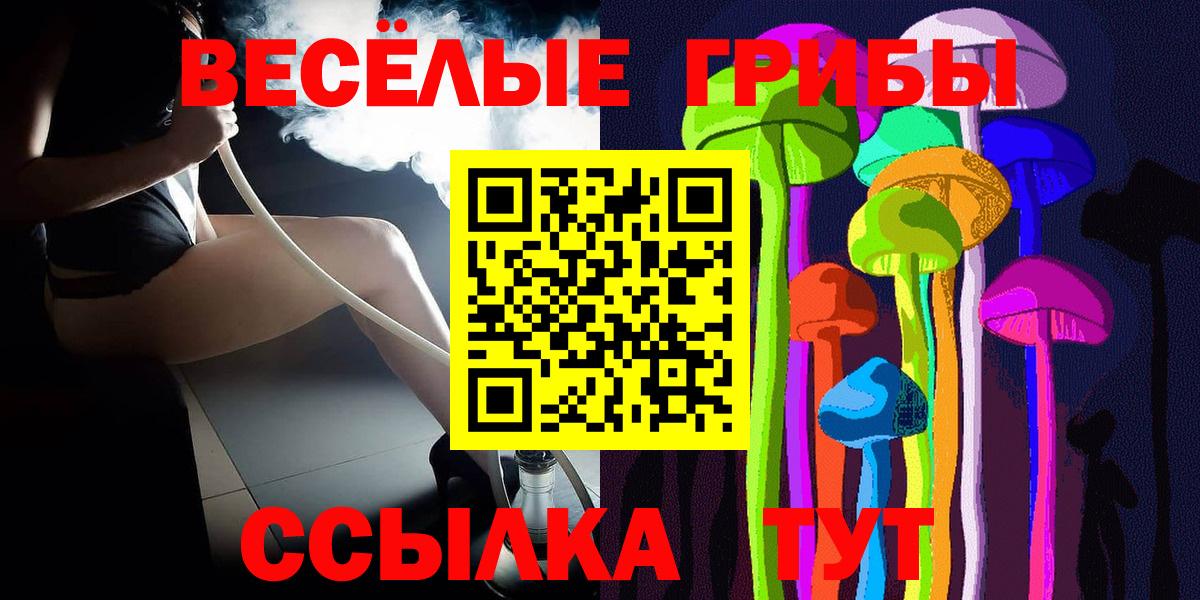 Псилоцибиновые грибы мицелий Россошь